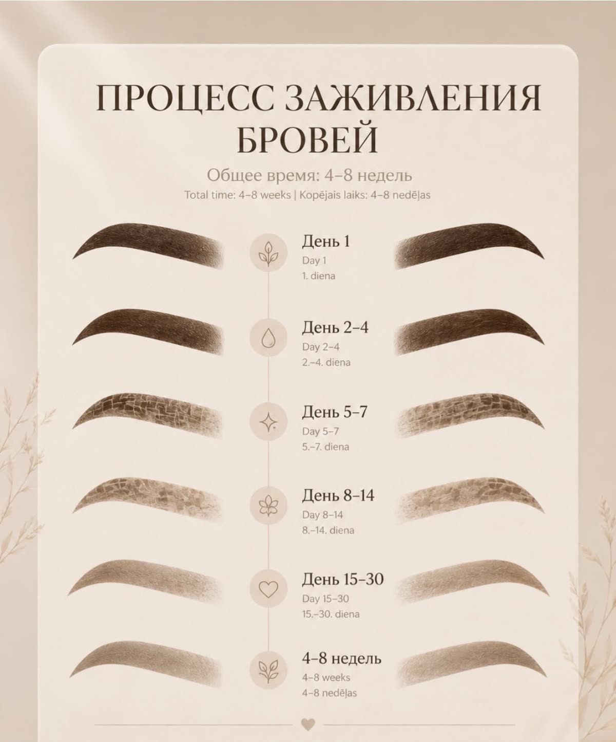 Как заживают брови: 4–8 недель шаг за шагом